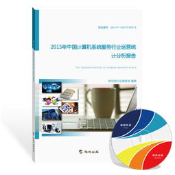 2015年中国计算机系统服务行业运营统计分析报告